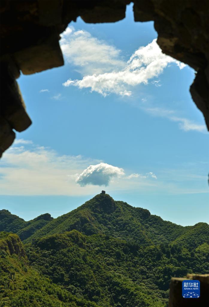 八骏赌城